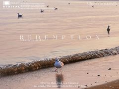 -金梦海湾浴场