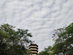 -福神岗公园