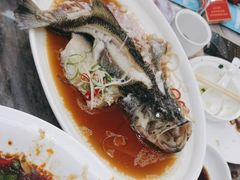 -普天和酒楼(天津之眼店)