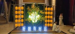 -武汉万达瑞华酒店·宴会厅