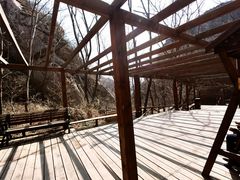 -大岭沟猕猴桃谷风景区