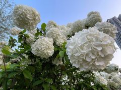 -大龙山(地铁站)