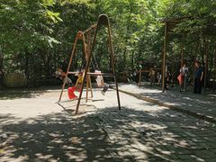 -青峰峡国家森林公园