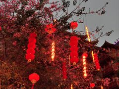 -大佛寺高级素食自助餐厅