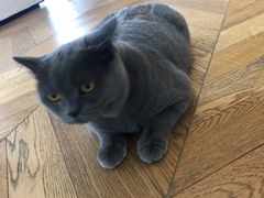 -Me Coffee下午茶艺术空间