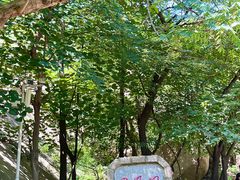 -嵖岈山风景区
