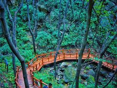 -大岭沟猕猴桃谷风景区