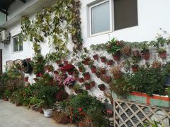 -刘家大院餐厅