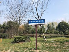 -东南大学(九龙湖校区)