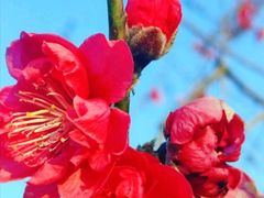 -广东花都湖国家湿地公园