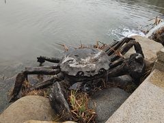-大千天鹅湾温泉