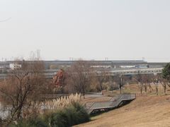 -白鹭湾湿地公园