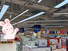 -盒马X会员店(上海森兰商都店)