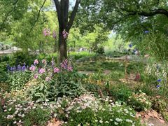 -上海共青森林公园