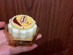 香草月饼冰淇淋-哈根达斯(龙湖时代天街店)