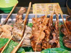 -西双版纳原始森林公园