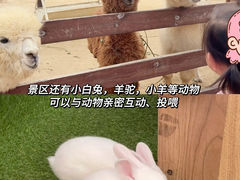 -盈香心动乐园