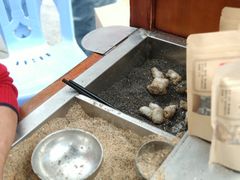 -叶氏麻糍(鼓浪屿店)