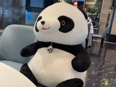 -眉州东坡(北苑华贸店)