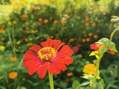 -北京西山国家森林公园