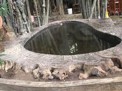 -龙达温泉生态城