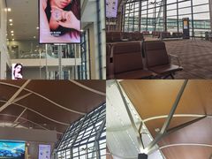 -上海浦东国际机场-T2航站楼