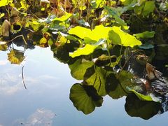 -香山公园-东宫门售票处