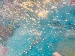 -重庆海昌加勒比海水世界