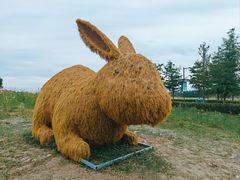 -嘉北郊野公园