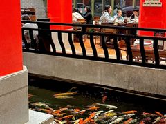 -龙悦湾酒家·八阵鱼生·渔人码头店