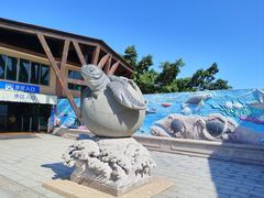 -广东惠东海龟国家级自然保护区