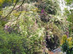 -深圳国际园林花卉博览园