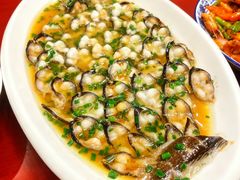 -呼吸森林·生态农庄农家乐私房菜