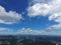 -阳台山森林公园