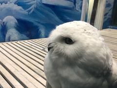 -成都浩海立方海洋公园