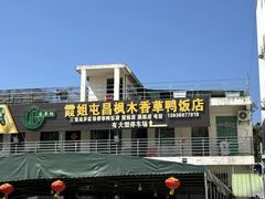 -霞姐屯昌枫木香草鸭店(海螺店)