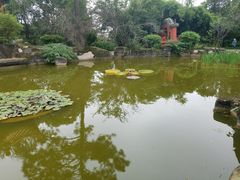 -富乐山