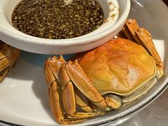 -应天大明王朝·南京菜创始店(中山陵店)