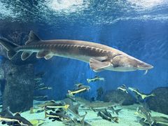 -多彩贵州城极地海洋世界