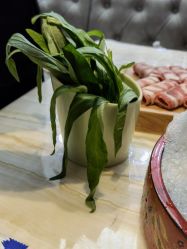 -悦鼎会海鲜姿造·宴会厅(东方明珠广场店)