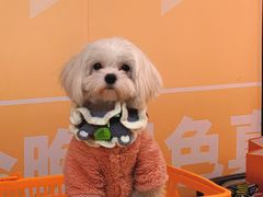 -佛山京华广场MALL