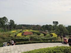 -铁山坪森林公园