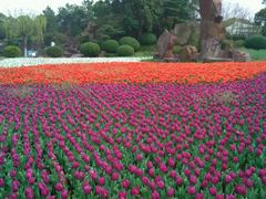 android_upload_pic-上海鲜花港