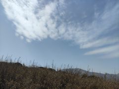 -秦岭风景区
