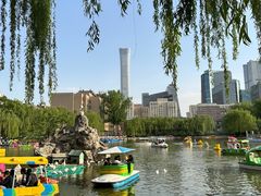 -团结湖公园