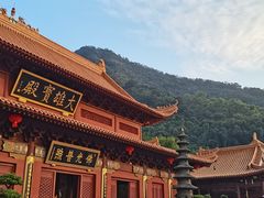 -深圳仙湖植物园