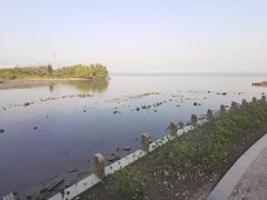-深圳湾公园(南山区)