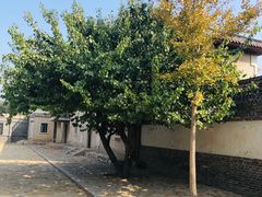 -清风小镇闯关东影视基地