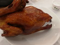 -稻香酒家·35年老字号(侨光店)