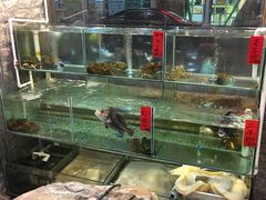 水产区-御膳粥·牛乳粥底火锅·地道顺德菜(容桂店)